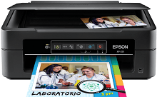 Pilote Epson XP-231
